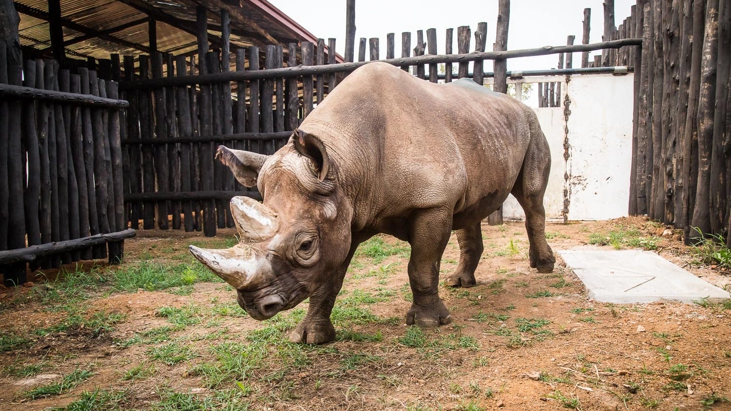 Family Safari in Akagera – Hemingways Retreat Kigali — photo 1
