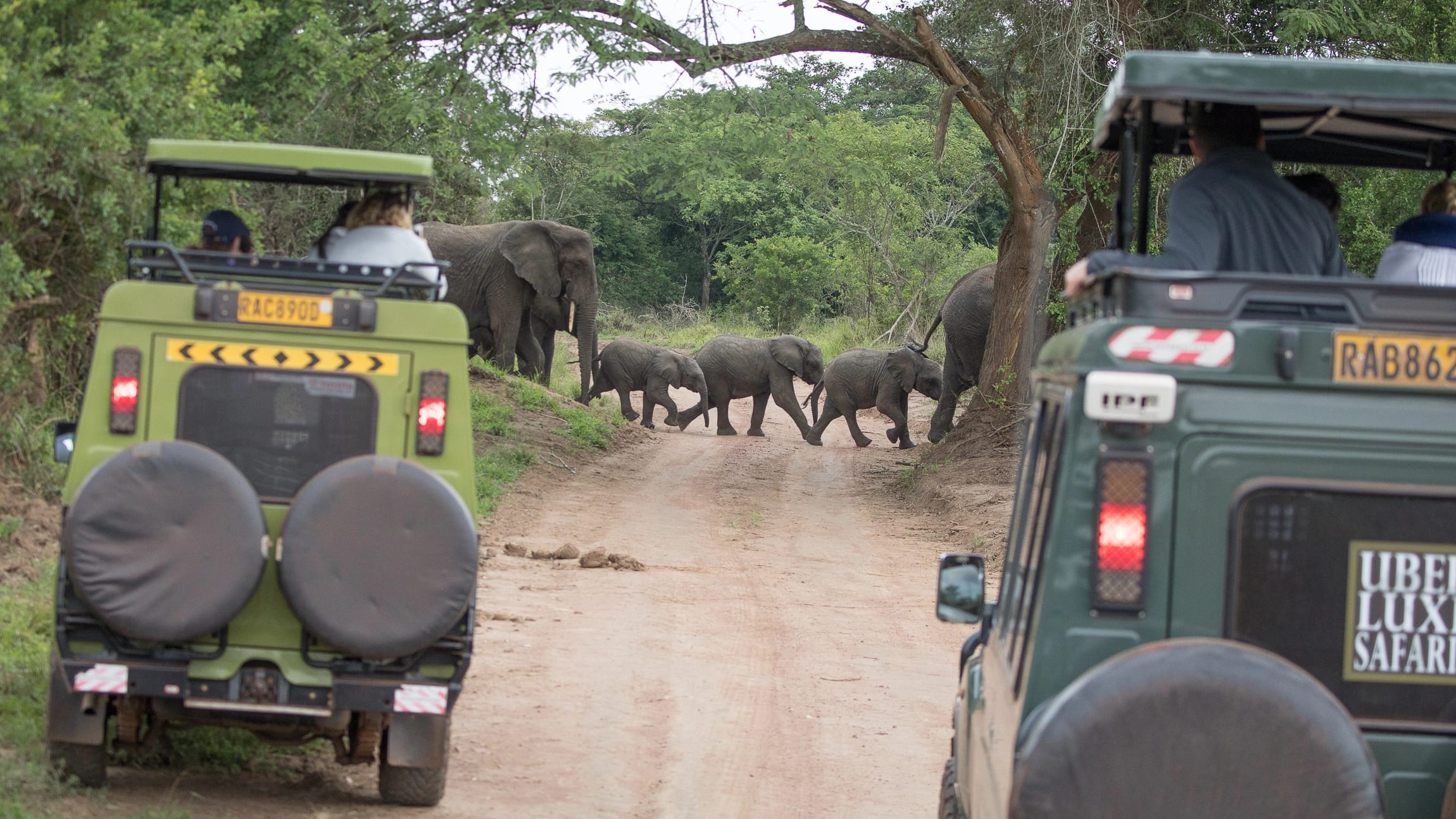 Family Safari in Akagera – Hemingways Retreat Kigali — photo 2