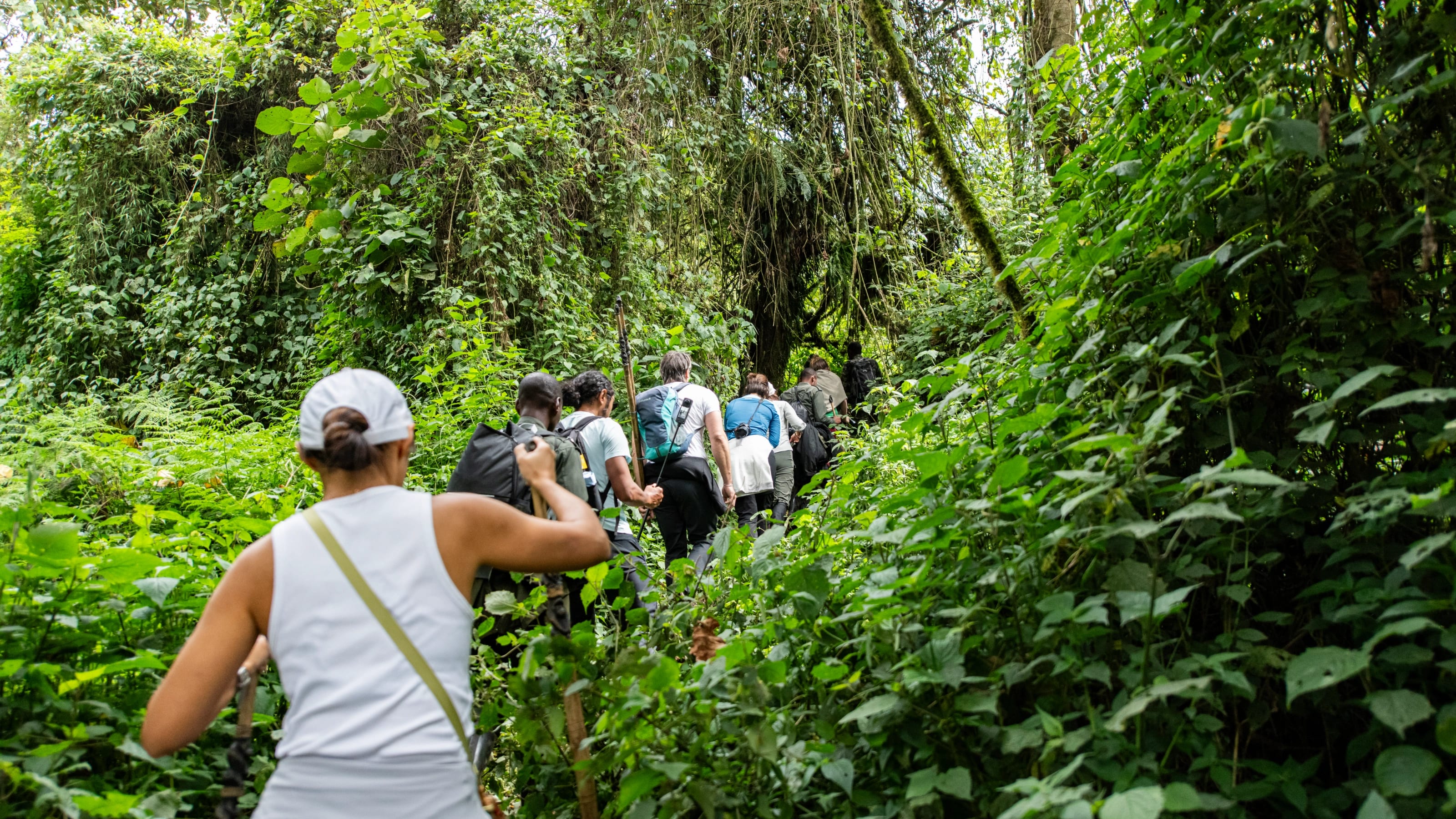 4-Day Gorilla Trekking in Rwanda — photo 3