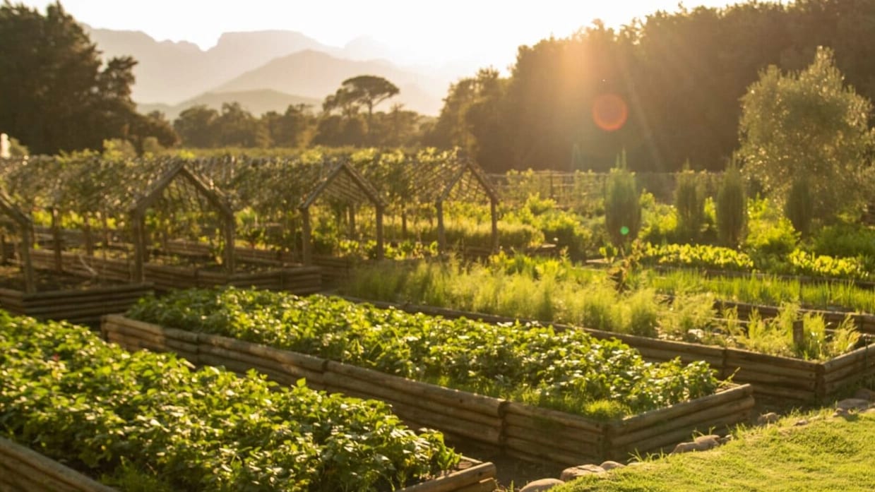 Seafood & Winelands Trail – The Marly — photo 3