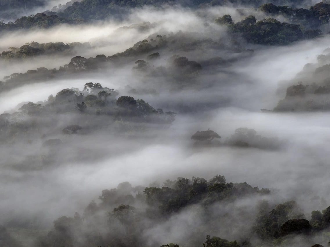 Transfer to Volcanoes National Park — photo 1