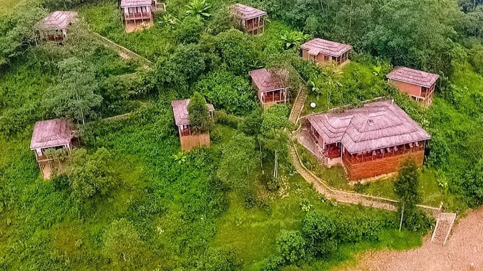 Gorilla Trekking – Four Gorillas Lodge — photo 1