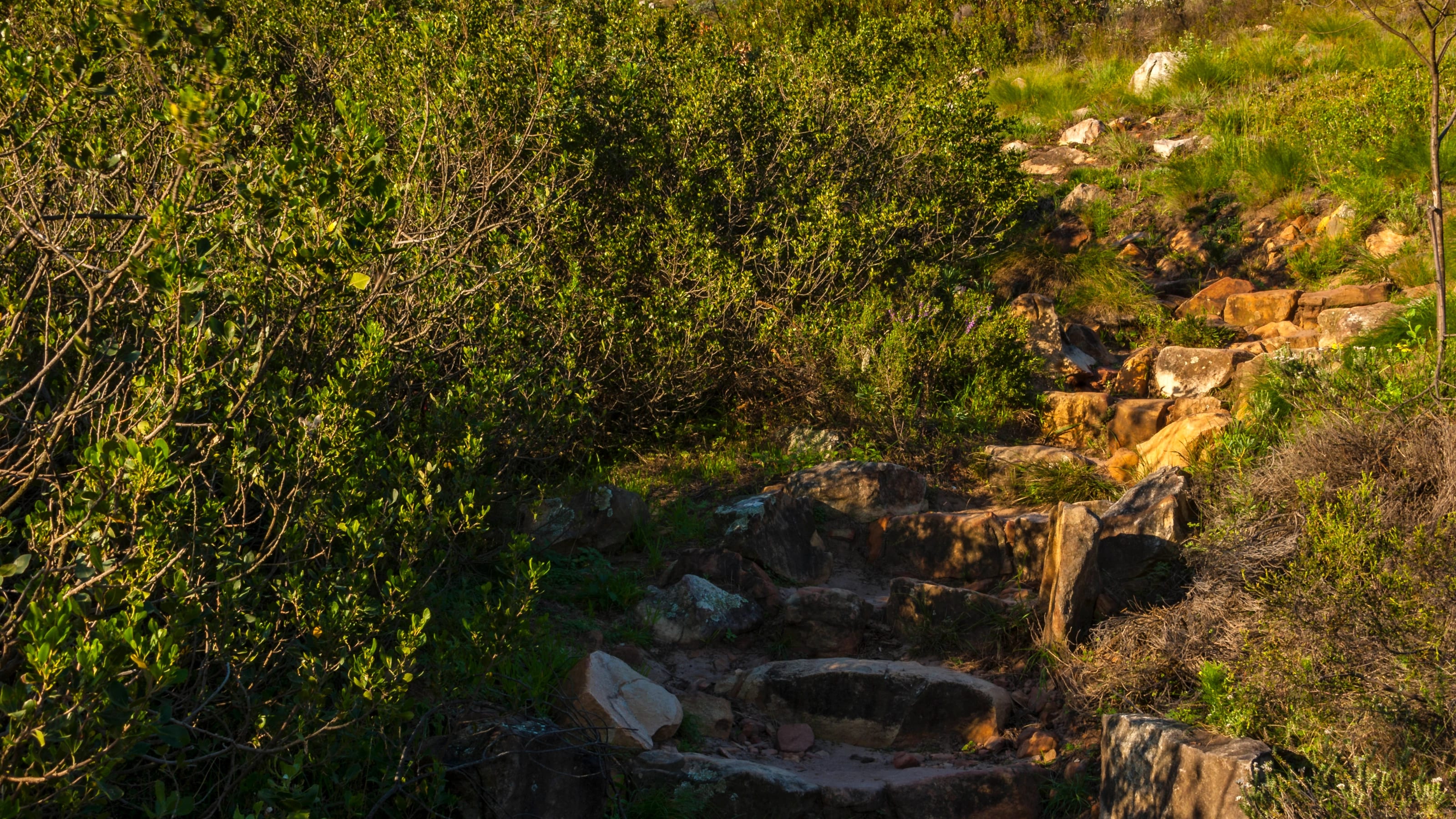 Sunrise Hike & Kayak – The Marly — photo 2