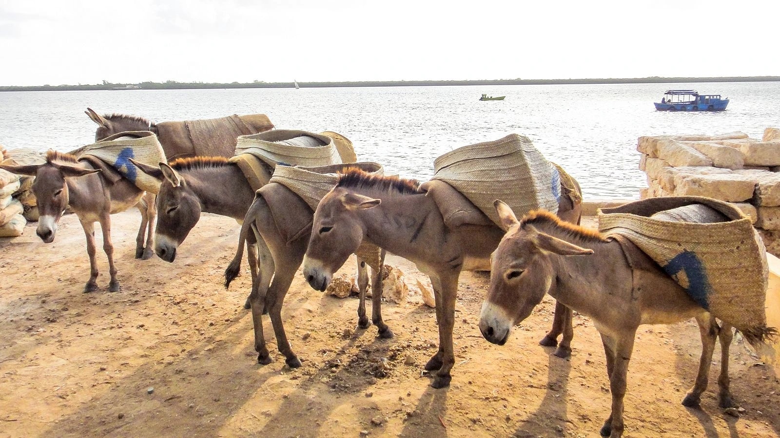 Lamu Escape – Peponi Hotel — Shela, Lamu Island